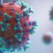 Corona Virus