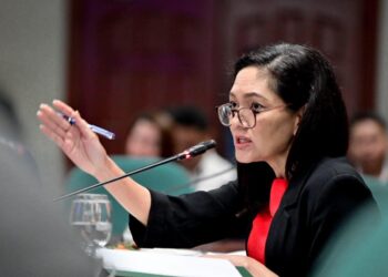 No to 3rd parties in transmission project construction – solon