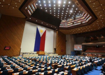 Legal experts, economists dance over cha-cha issues