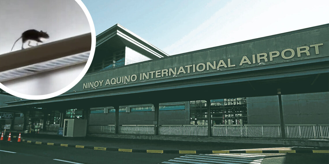 Bed bugs reported, rat captured on video add to NAIA woes