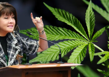 Senate deliberates compassionate use, enforcement of medical marijuana