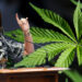 Senate deliberates compassionate use, enforcement of medical marijuana