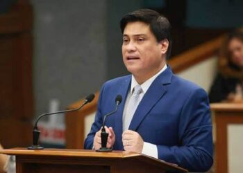 Solon highlights diplomacy to parliamentarians, cites PH success in ending Mindanao conflict