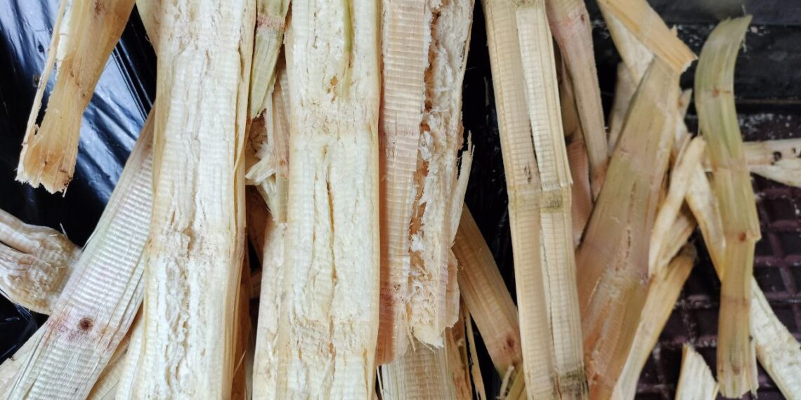 Sweet Sugarcane Juice