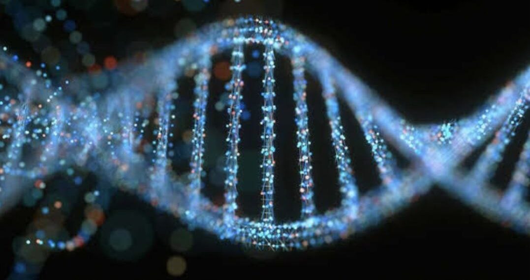 How long will you live?