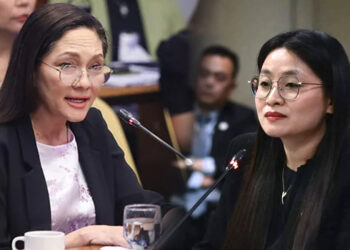 Senate investigation on POGO links not an attack on Filipino-Chinese – Solon