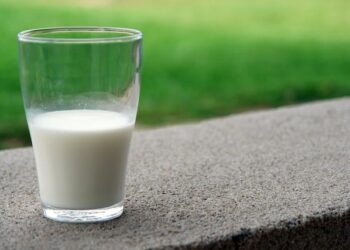 20% of milk samples contain traces of bird flu
