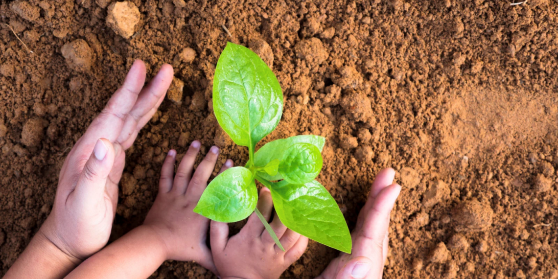 Inside a historic initiative to green LA county schoolyards