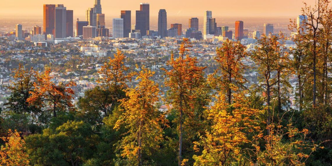 Local parks on the chopping block at Los Angeles City Hall