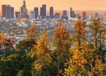 Local parks on the chopping block at Los Angeles City Hall