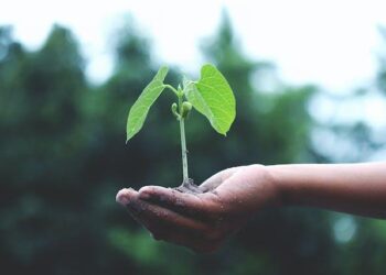 FDA announces reorganization, waste reduction efforts