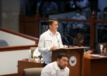 Senators ask PAGCOR chief to name ex-Cabinet official linked to POGOs