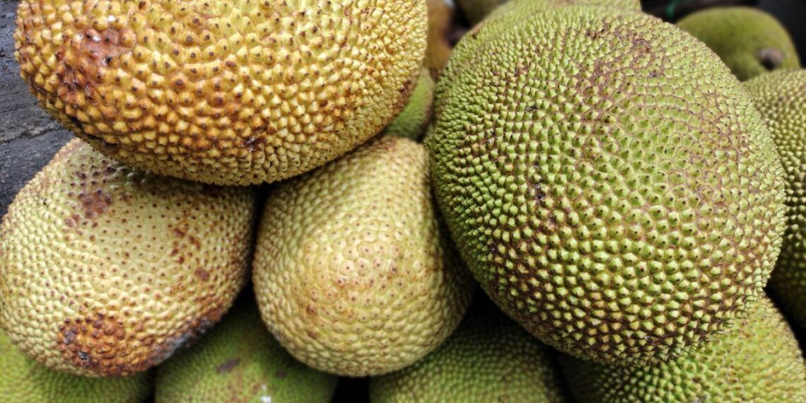 It’s not just jackfruit