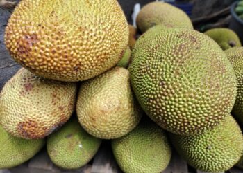 It’s not just jackfruit
