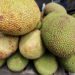 It’s not just jackfruit