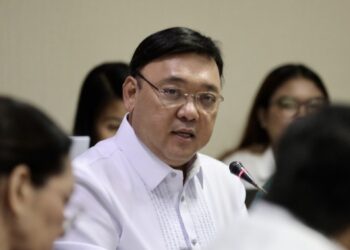 Roque clarifies his involvement with POGOs