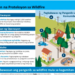 PhilAm Press Club partners with Energy Company PG&E for informative webinar to reduce wildfire risk, and power bill in Taglish
