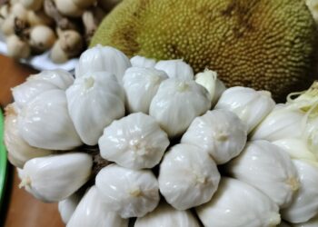 Delicious Marang