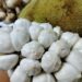 Delicious Marang