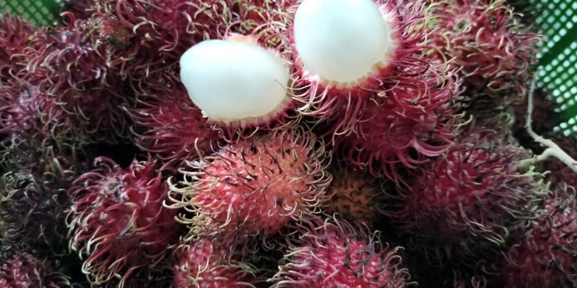 DELICIOUS, JUICY RAMBUTAN