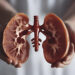 First signs of kidney