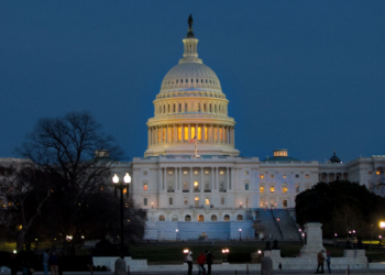 The impact of the 2024 election