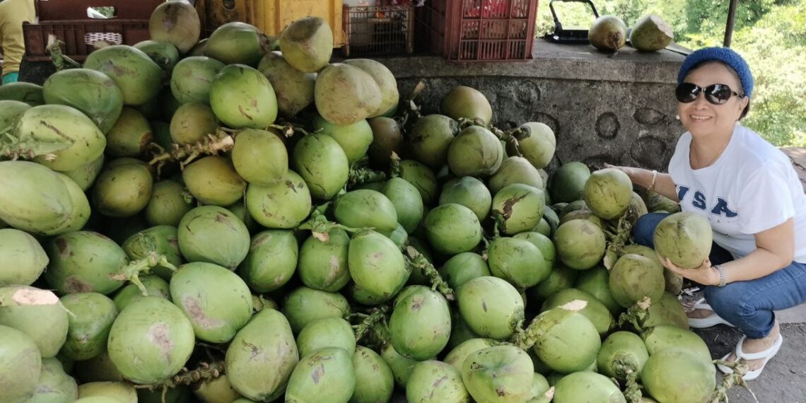 Going Nuts Over Coconut