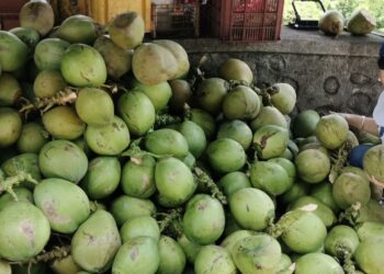 Going Nuts Over Coconut