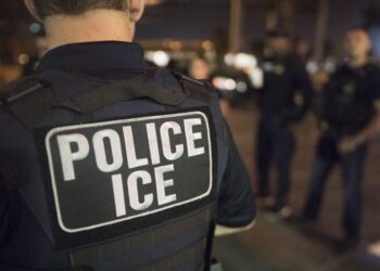 A guide to surviving ‘La Migra’