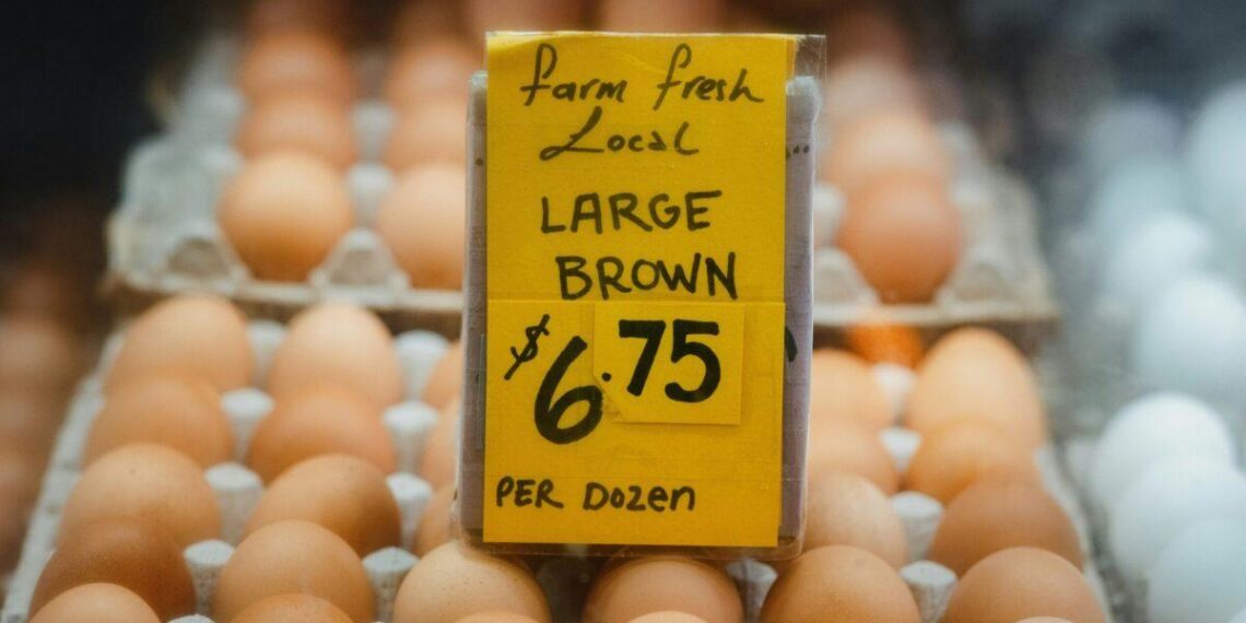 Tariffs are freezing the US economy, warns Stanford Economist